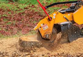 Best Lot and Land Clearing  in Canastota, NY