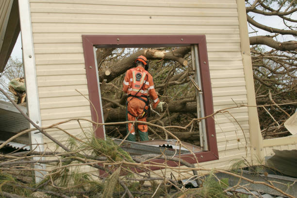 Best Storm Damage Tree Cleanup  in Canastota, NY